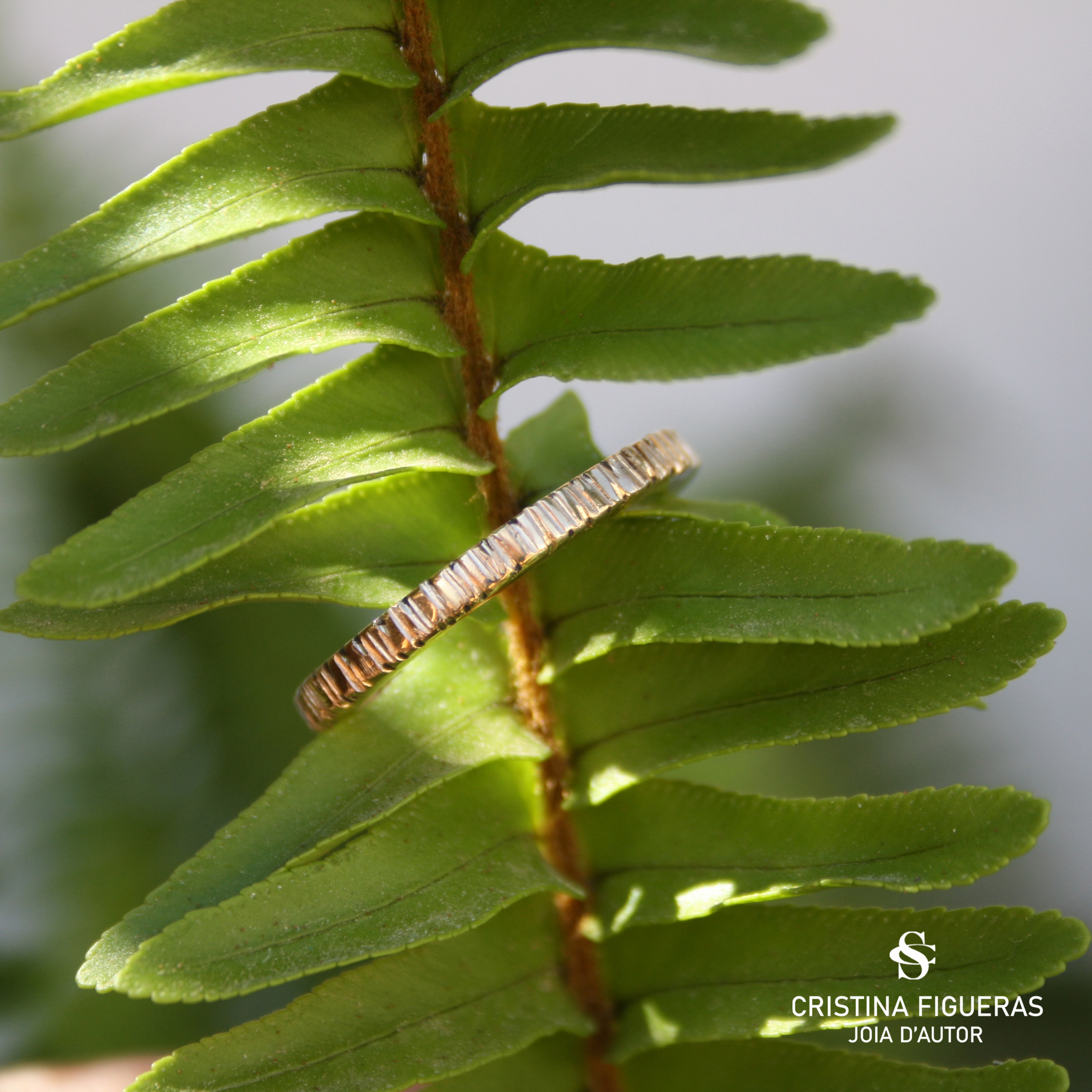 ANELL D'OR GROC ESTRUCTURA