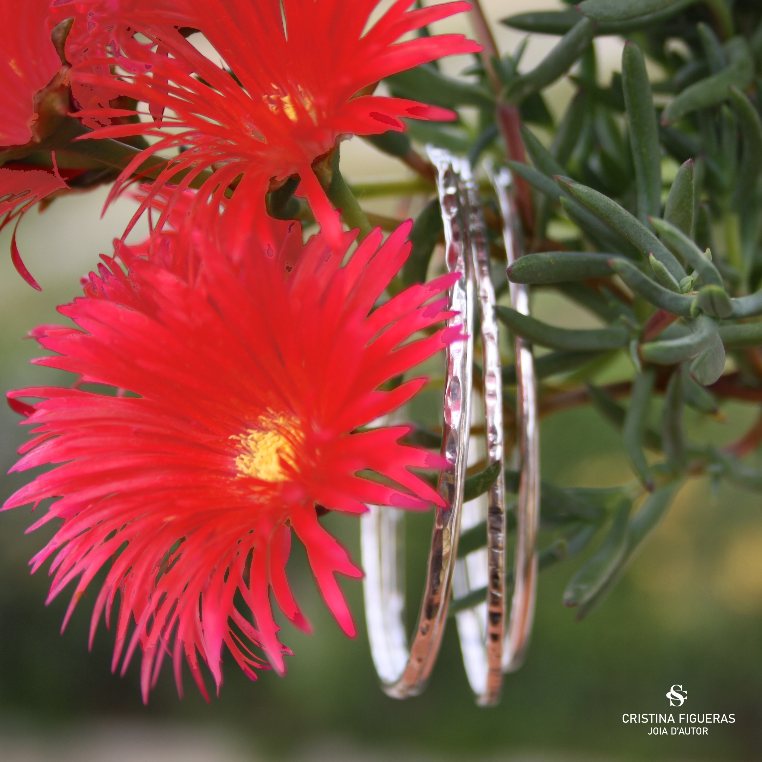 POLSERES argent · Col·lecció DEESSA