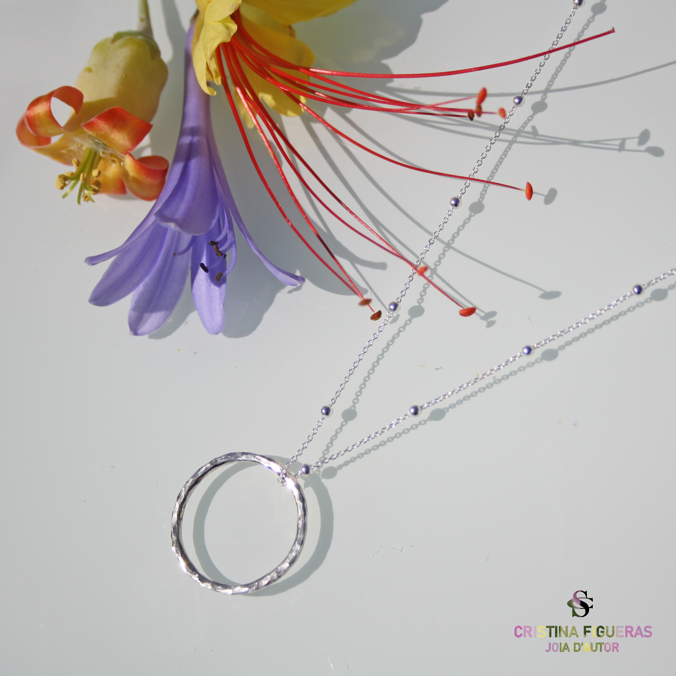 PENJOLL · CERCLE D'ATRACCIÓ TEXTURA